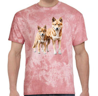Dingo Pair Colour Blast T-Shirt (Clay Colour)