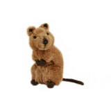 Australian Quokka Soft Plush Toy (Edward, 21cm)
