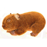 Australian Wombat Soft Plush Toy (Large 42cm)
