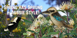 Spring Has Sprung – Aussie Style!