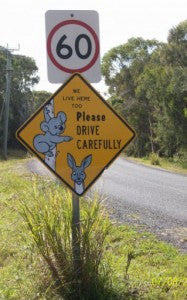 [Blog Post] Cute Picture of Australian Animal Road Sign