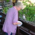 [Blog Post] Australian Kookaburras