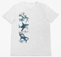 Sharks Side Print Adults T-Shirt (Snow Grey, Shortsleeve)