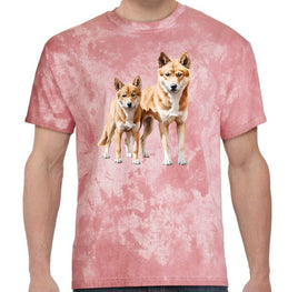 Dingo Pair Colour Blast T-Shirt (Clay Colour)