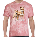 Dingo Pair Colour Blast T-Shirt (Clay Colour)