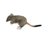 Woylie Brush-Tailed Bettong Stuffed Animal Toy