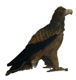 Large Wedge-Tailed Eagle Bird Stuffed Animal Toy (63cm)