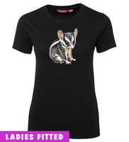 Sugar Glider Ladies T-Shirt (Black)