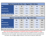 BigTees Australia Size Chart