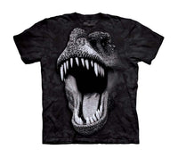 Big Face Rex Childrens Dinosaur T-Shirt (Non-Glow)