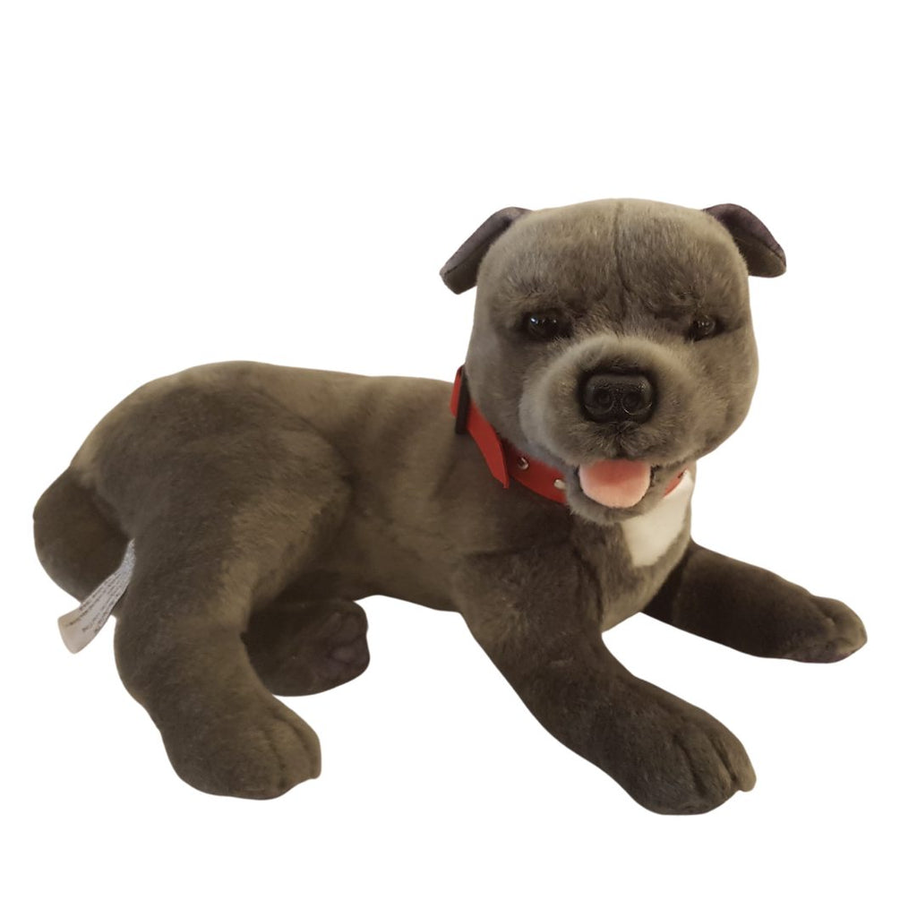 Laying "Blue" Grey Staffy Dog Plush Toy (35cm Long)