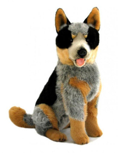 Large Cattle Dog Blue Heeler Soft Plush Toy (45cm) Dog Breed