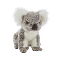Sitting Koala Soft Plush Toy (Small 18cm)