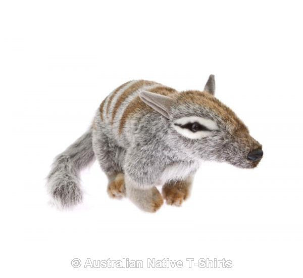Australian Numbat Soft Plush Toy (30cm)