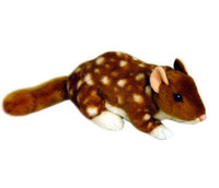 Australian Quoll Soft Plush Toy (30cm)