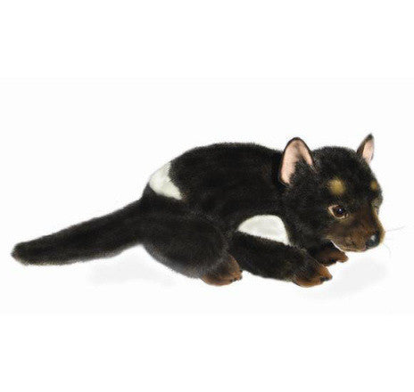 Tasmanian Devil Soft Plush Toy (Rupert 30cm)