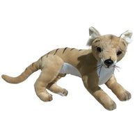 Laying Tasmanian Tiger Soft Plush Toy (Theo, 43cm Long)
