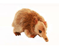 Cute Echidna Mini Plush Toy (11cm)