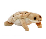 Turtle Mini Plush Toy (11cm)