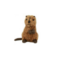 Australian Quokka Mini Plush Toy (14cm)