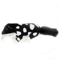 Black & White Quoll Mini Plush Toy (13cm)