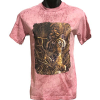 Tiger in Tall Grass Colour Blast T-Shirt (Clay Colour)
