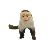 Capuchin Monkey Stuffed Animal Toy