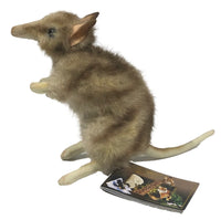 Eastern Barred Bandicoot Stuffed Animal Toy - Left Side