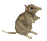 Eastern Barred Bandicoot Stuffed Animal Toy - Right Side