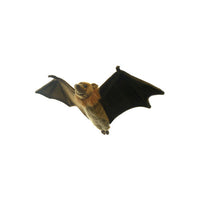 Flying Fox Stuffed Animal Toy