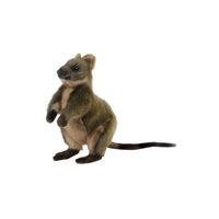 Quokka Stuffed Plush Animal Toy