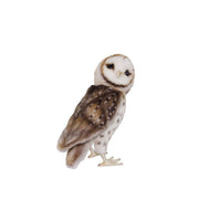 Barn Owl Stuffed Animal Toy
