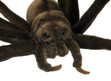 Huntsman Spider Stuffed Plush Animal Toy - Face Closeup