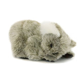 Kip the Sleeping Koala Soft Plush Toy