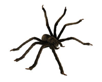 Huntsman Spider Stuffed Plush Animal Toy