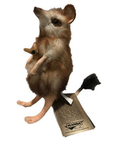 Marsupial Mouse Stuffed Plush Toy (Left Side)