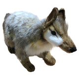 Numbat Stuffed Plush Animal Toy (Face Closeup)