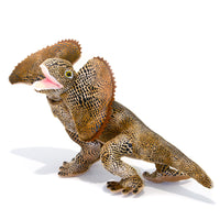 Frill Neck Lizard Soft Plush Toy (35cm)