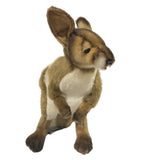 Standing Wallaby Stuffed Animal Toy - Front View