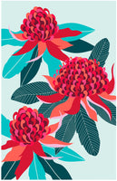 Australian Waratah Flower Tea Towel